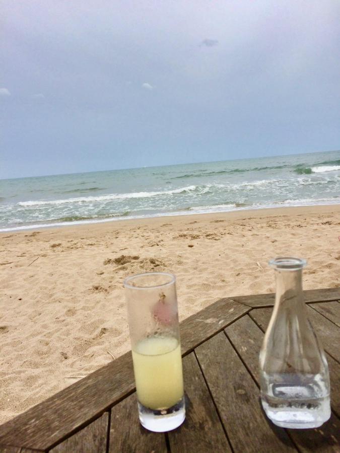 Beach, Wine, Dining, Sports, Summer, Winter Apartment Serignan Exterior photo