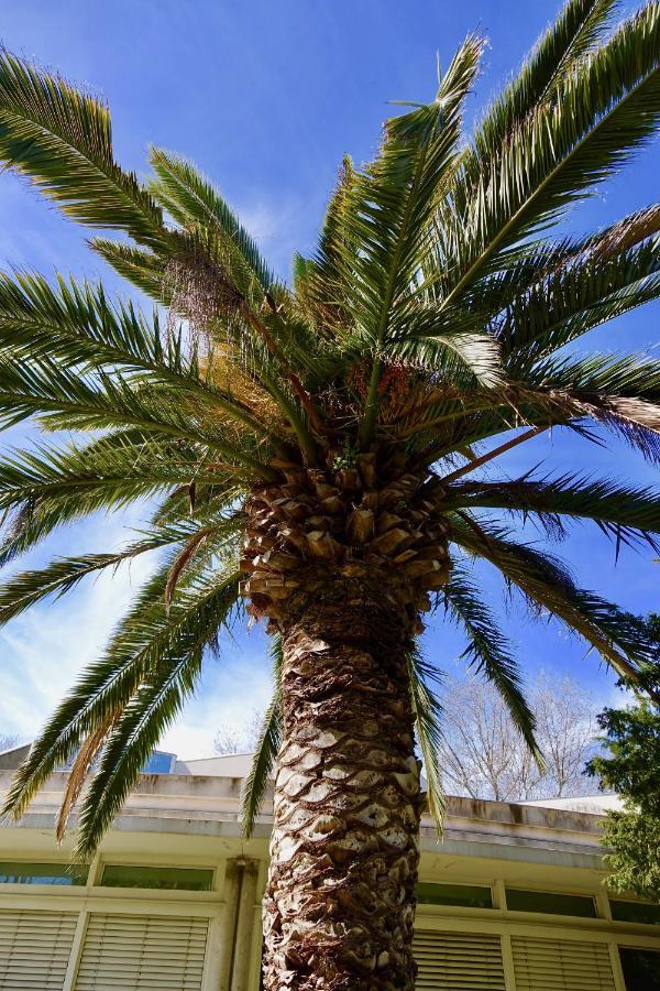 Beach, Wine, Dining, Sports, Summer, Winter Apartment Serignan Exterior photo